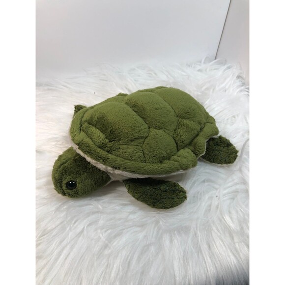 Jolene the turtle - Picture 1 of 6